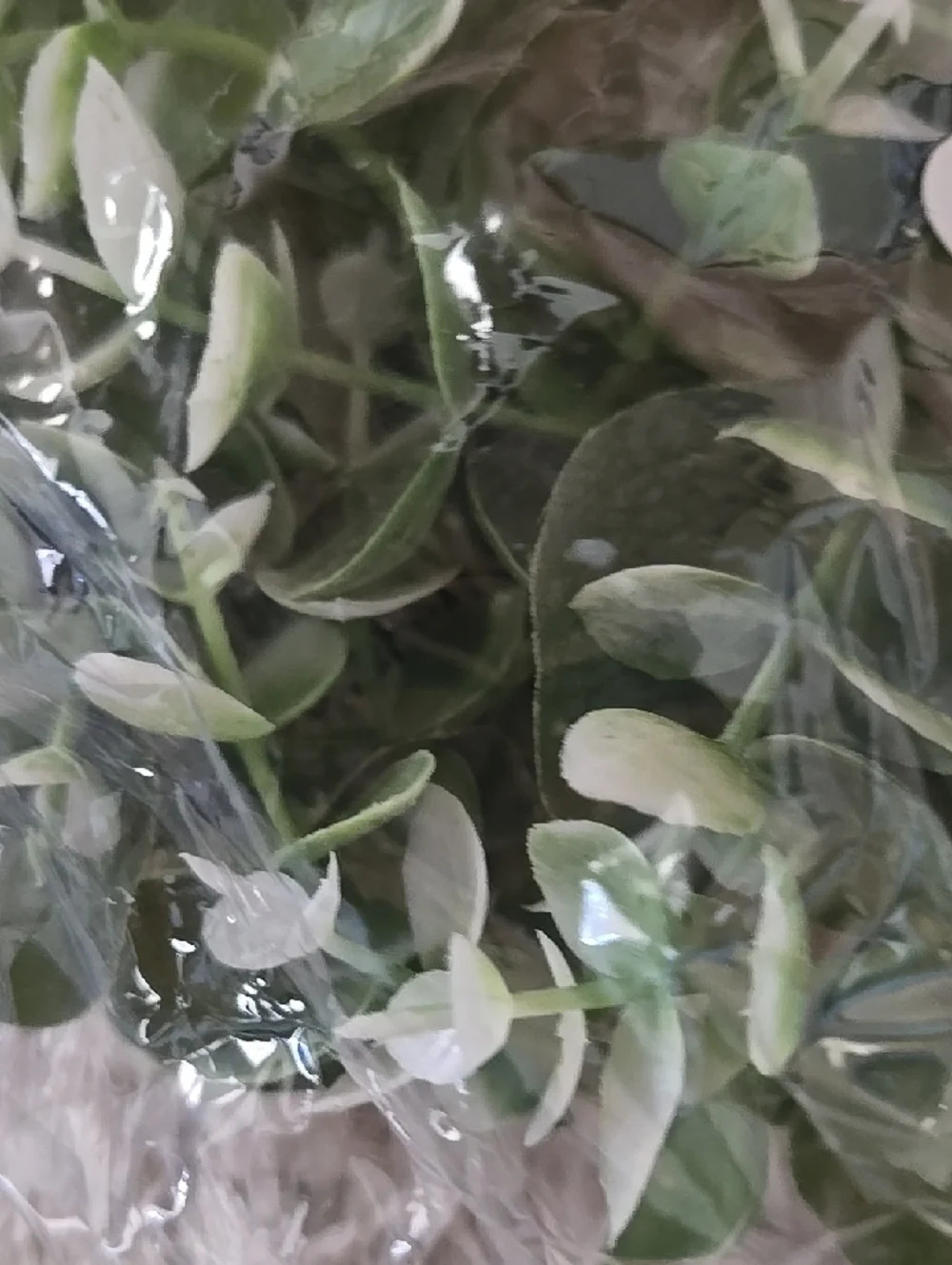 Soft Pink Artificial Flower Faux Green Mini Wreaths Leaves Plant Pick Assortment